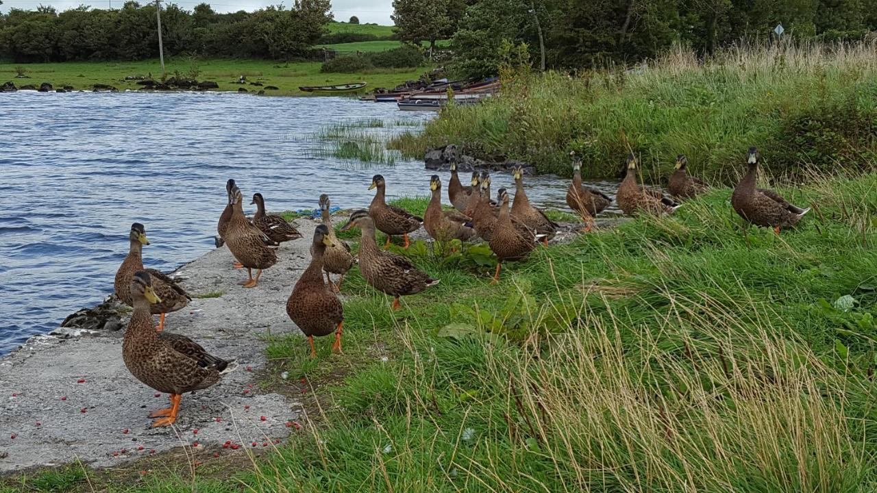 Leroy'S Lodge Headford ภายนอก รูปภาพ